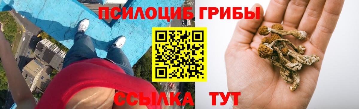 Галлюциногенные грибы MAGIC MUSHROOMS  Вход с VPN  Архангельск 